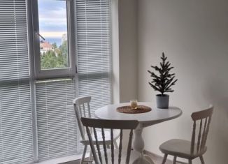 Сдаю квартиру студию, 40 м2, Сочи, улица Метелёва, 6/3, микрорайон Яна Фабрициуса