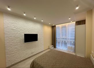 Сдается в аренду квартира студия, 25 м2, Санкт-Петербург, Московский проспект, 183-185Ак2, ЖК Граф Орлов