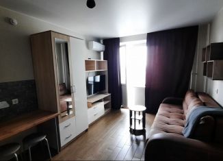 Квартира в аренду студия, 26 м2, Ростов-на-Дону, Художественная улица, 22/17, ЖК Платовский