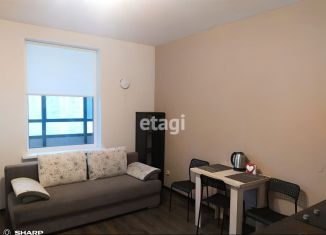 Продам 1-ком. квартиру, 24.4 м2, Мурино, Графская улица, 12к2, ЖК Гринландия-2