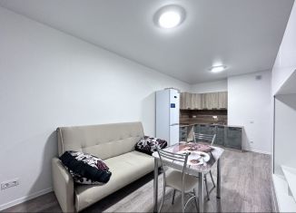 Сдача в аренду 3-комнатной квартиры, 52 м2, Люберцы, улица Камова, 3к1, ЖК Люберцы 2020