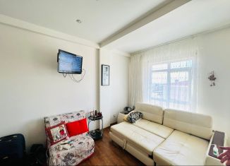 Продажа 1-ком. квартиры, 31 м2, Сочи, улица Яна Фабрициуса, 293, микрорайон Яна Фабрициуса