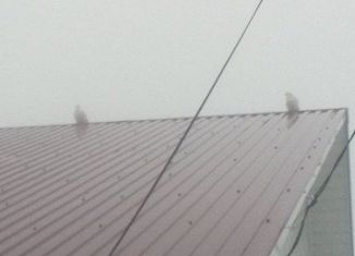 Сдается дом, 60 м2, село Аксаково, Вокзальная улица