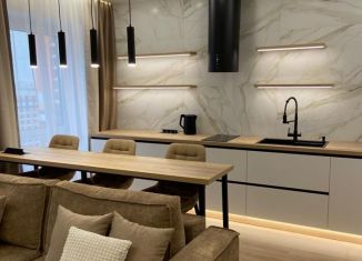 Аренда квартиры студии, 27 м2, Люберцы, улица Лётчика Ларюшина, 4, ЖК Жулебино Парк