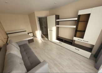 Однокомнатная квартира в аренду, 39 м2, Йошкар-Ола, улица Йывана Кырли, 35, микрорайон Дружный