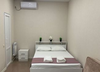 Продается 1-комнатная квартира, 20 м2, Сочи, улица Ульянова, 13, микрорайон Центральный