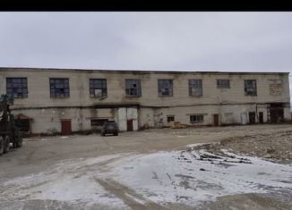 Продам помещение свободного назначения, 2114 м2, Березники, Новосодовая улица, 13/1