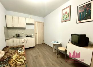 Продам квартиру студию, 18 м2, рабочий посёлок Лопатино, Сухановская улица, 33, ЖК Государев Дом