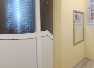 Сдача в аренду помещения свободного назначения, 7 м2, Псков, площадь Ленина, 1