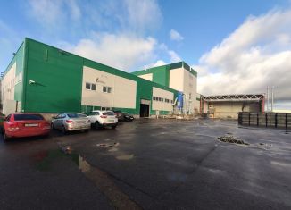 Сдам в аренду производство, 4100 м2, деревня Велигонты, Ропшинское шоссе, 9