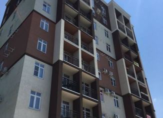 Продается 1-ком. квартира, 31 м2, село Орёл-Изумруд, Дачная улица, 16А/2