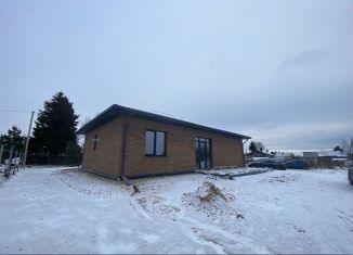 Продам дом, 120 м2, деревня Стрельниково