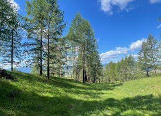 Продам земельный участок, 2400 сот., село Ело