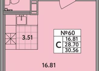 Продается квартира студия, 28.7 м2, деревня Новое Девяткино, деревня Новое Девяткино, 115, ЖК Удача