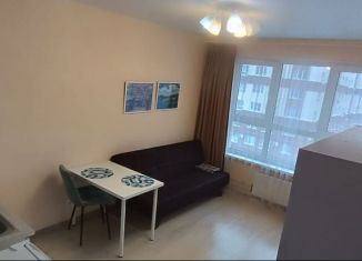 Продаю квартиру студию, 20.5 м2, рабочий посёлок Лопатино, Солнечный бульвар, 13, ЖК Государев Дом