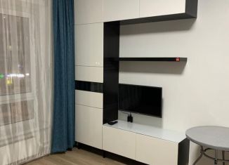 Сдается квартира студия, 20 м2, Люберцы, улица Лётчика Ларюшина, 4к2, ЖК Жулебино Парк