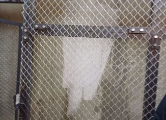 Сдам в аренду гараж, 17 м2, деревня Столбово, проспект Куприна