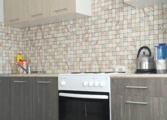 Сдаю в аренду 1-комнатную квартиру, 40 м2, Тюмень, улица Василия Гольцова, 8