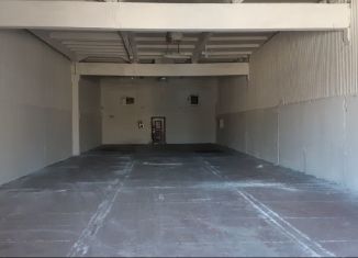 Аренда производства, 326 м2, деревня Проба, Пробинское шоссе, 46