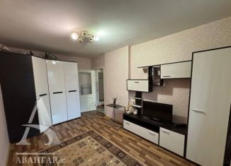 Сдается в аренду 1-комнатная квартира, 31 м2, Клин, микрорайон Майданово, 1к1