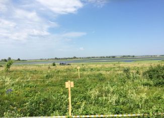 Продается участок, 10 сот., деревня Каинки, Центральная улица