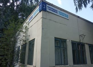 Сдача в аренду помещения свободного назначения, 208 м2, село Амзя, улица Свердлова, 12В