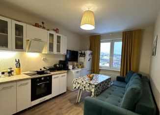 Продаю однокомнатную квартиру, 37.8 м2, Нижний Новгород, ЖК Новая Кузнечиха, улица Романтиков, 3