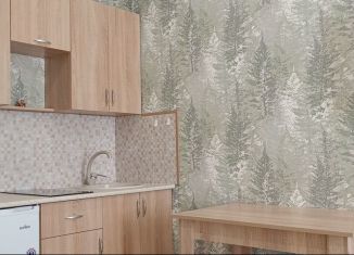 Квартира на продажу студия, 24 м2, Горячий Ключ, Рябиновая улица, 2Вк2