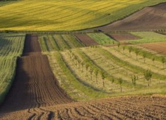 Продаю земельный участок, 530 сот., поселок железнодорожной станции Калейкино