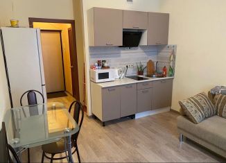 Квартира на продажу студия, 25 м2, Кудрово, ЖК Вернисаж, Пражская улица, 15