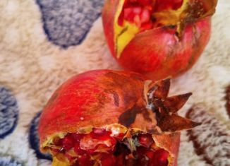 Участок на продажу, 5 сот., Суворовское сельское поселение