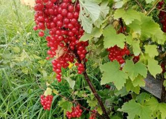 Дом на продажу, 50 м2, посёлок Новый Посёлок