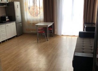 Сдается в аренду квартира студия, 28.6 м2, Сочи, улица Метелёва, 6/3, микрорайон Яна Фабрициуса