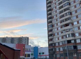 Продаю 2-ком. квартиру, 54.8 м2, Мурино, улица Шоссе в Лаврики, ЖК Северный