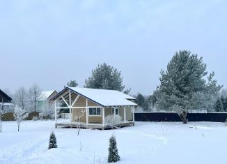 Продаю дом, 40 м2, деревня Ваньгино, Весенняя улица