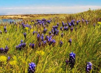 Участок на продажу, 270 сот., Новосельское сельское поселение