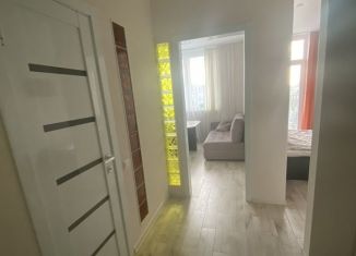 1-комнатная квартира в аренду, 32.1 м2, Сочи, переулок Трунова, 6к3, ЖК Альпийский Квартал