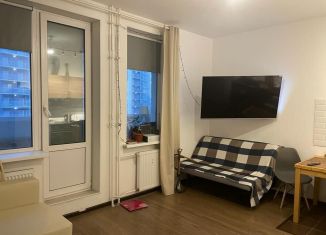 Продажа квартиры студии, 27 м2, Кудрово, Пражская улица, 15, ЖК Вернисаж