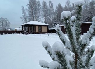 Сдаю дом, 70 м2, деревня Вартемяги, Карьерный переулок, 1Б