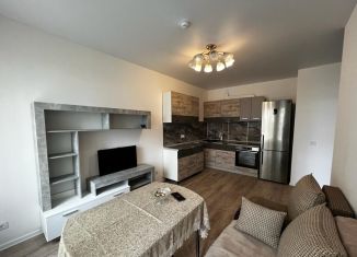 Сдается в аренду двухкомнатная квартира, 36 м2, Люберцы, улица Камова, 1к2, ЖК Люберцы 2020