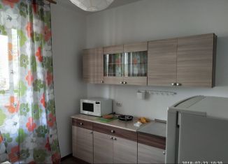 Сдам 1-ком. квартиру, 33 м2, Мурино, Графская улица, 8, ЖК Гринландия-2