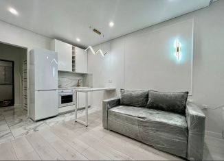 Продаю квартиру студию, 22 м2, Ростов-на-Дону, улица Нансена, 83с3, ЖК Скай Парк