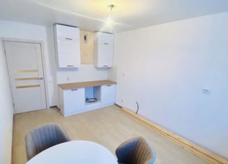 Продам однокомнатную квартиру, 36.1 м2, Нижний Новгород, ЖК Новая Кузнечиха, Новокузнечихинская улица