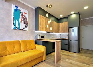 Продажа квартиры студии, 21 м2, деревня Ивановское, улица Семёна Гордого, 8