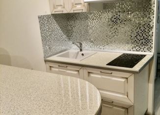 Сдаю в аренду квартиру студию, 30 м2, Мурино, Привокзальная площадь, 3к1, ЖК Эланд