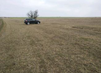 Продам земельный участок, 350 сот., Родниковское сельское поселение