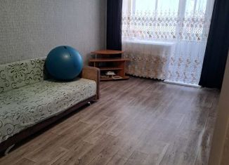 Сдам однокомнатную квартиру, 30 м2, Биробиджан, улица Карла Маркса, 14, микрорайон Сопка