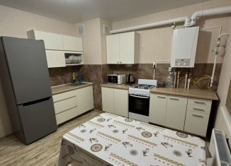 Сдается в аренду 1-ком. квартира, 40.5 м2, деревня Куюки, улица 22-й Квартал, 7