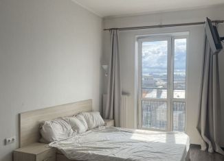 Продажа 1-комнатной квартиры, 48 м2, Санкт-Петербург, улица Швецова, 8